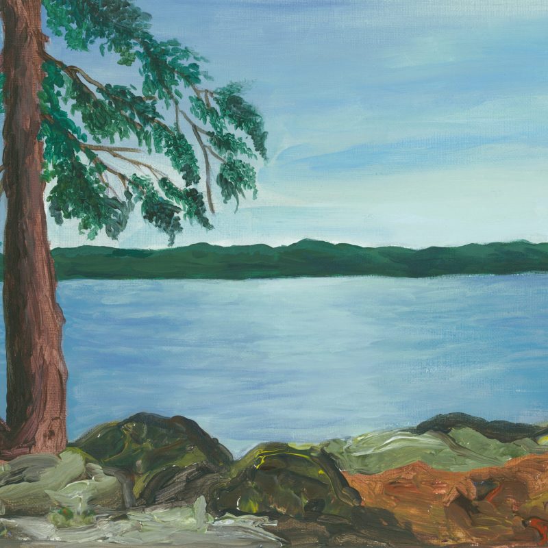 Big tree, water, rocks