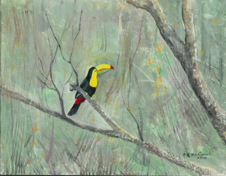 Bird
