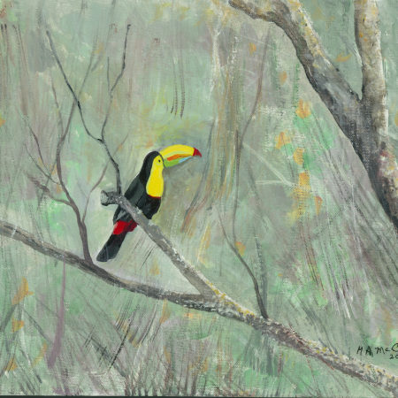 Bird