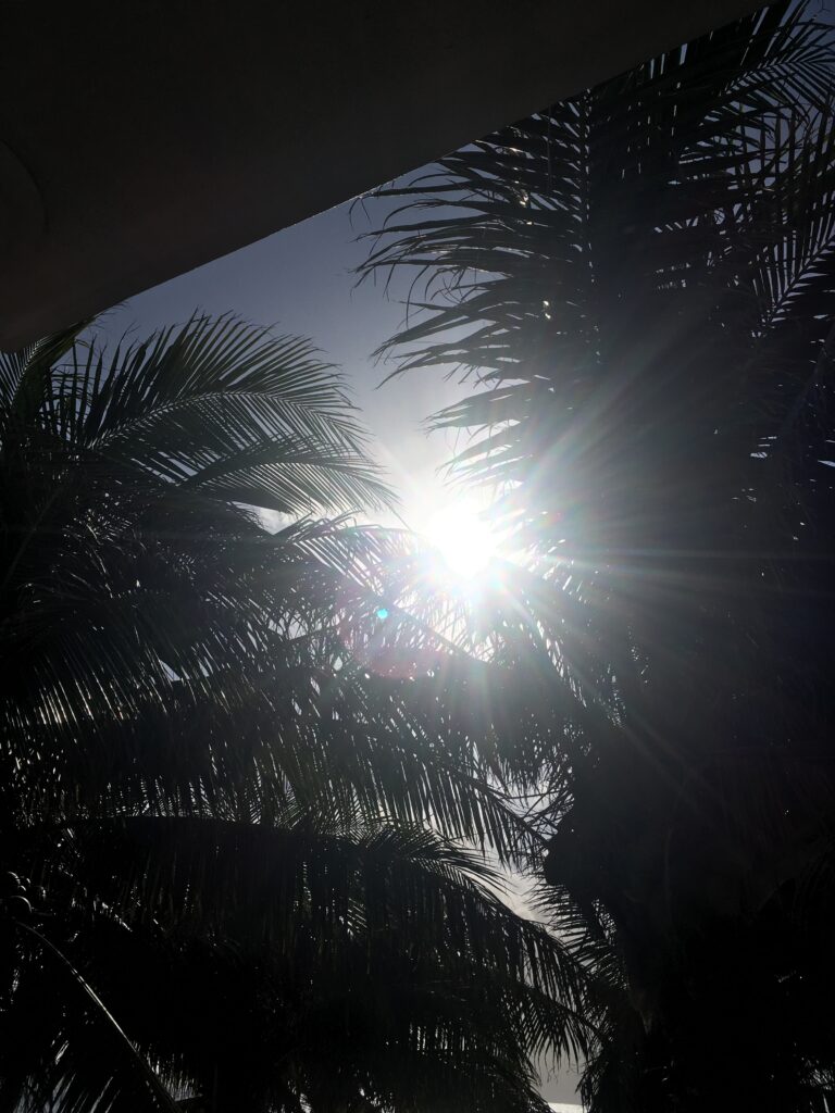 Sunrise Christmas morning