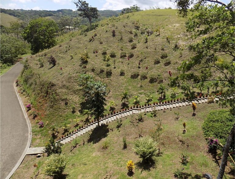 View fro Balcony, Turtle Cove