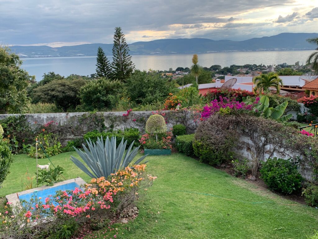 Garden view - San Juan Cosala